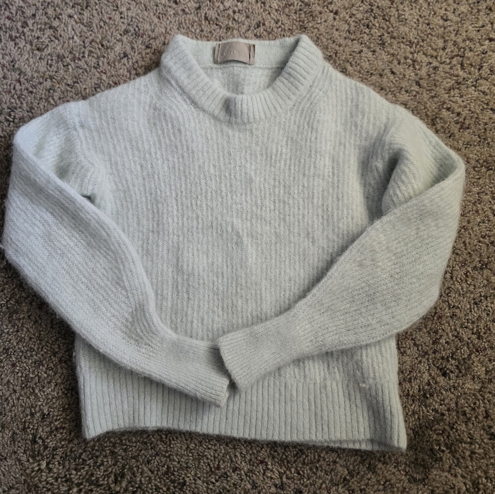 Everlane Crew Sweater Size XS-Light Green